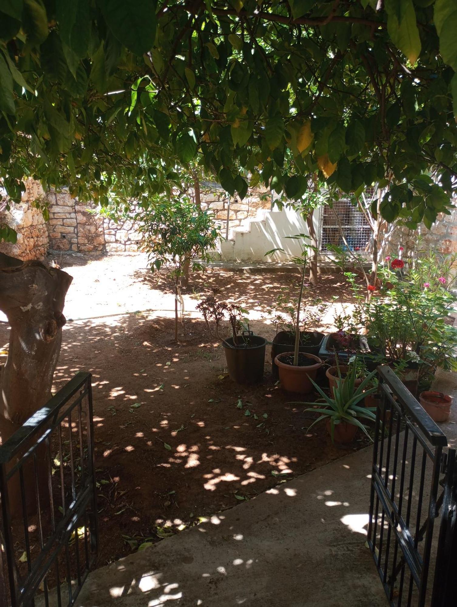 Paradisos Kastellorizou Apartment